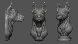 Thai Ridgeback dog head 3D model