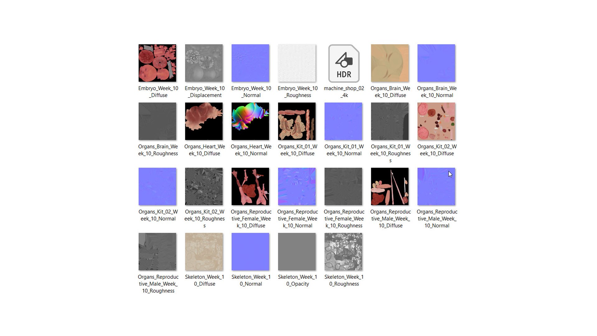 Fetus Anatomy Week 10 Animated model https://p.turbosquid.com/ts-thumb/vu/zx4cSJ/Z5/texture_10/jpg/1637333948/1920x1080/fit_q87/2b08a94edec20f31ff48c6950bd3ab7ac46c7ab9/texture_10.jpg