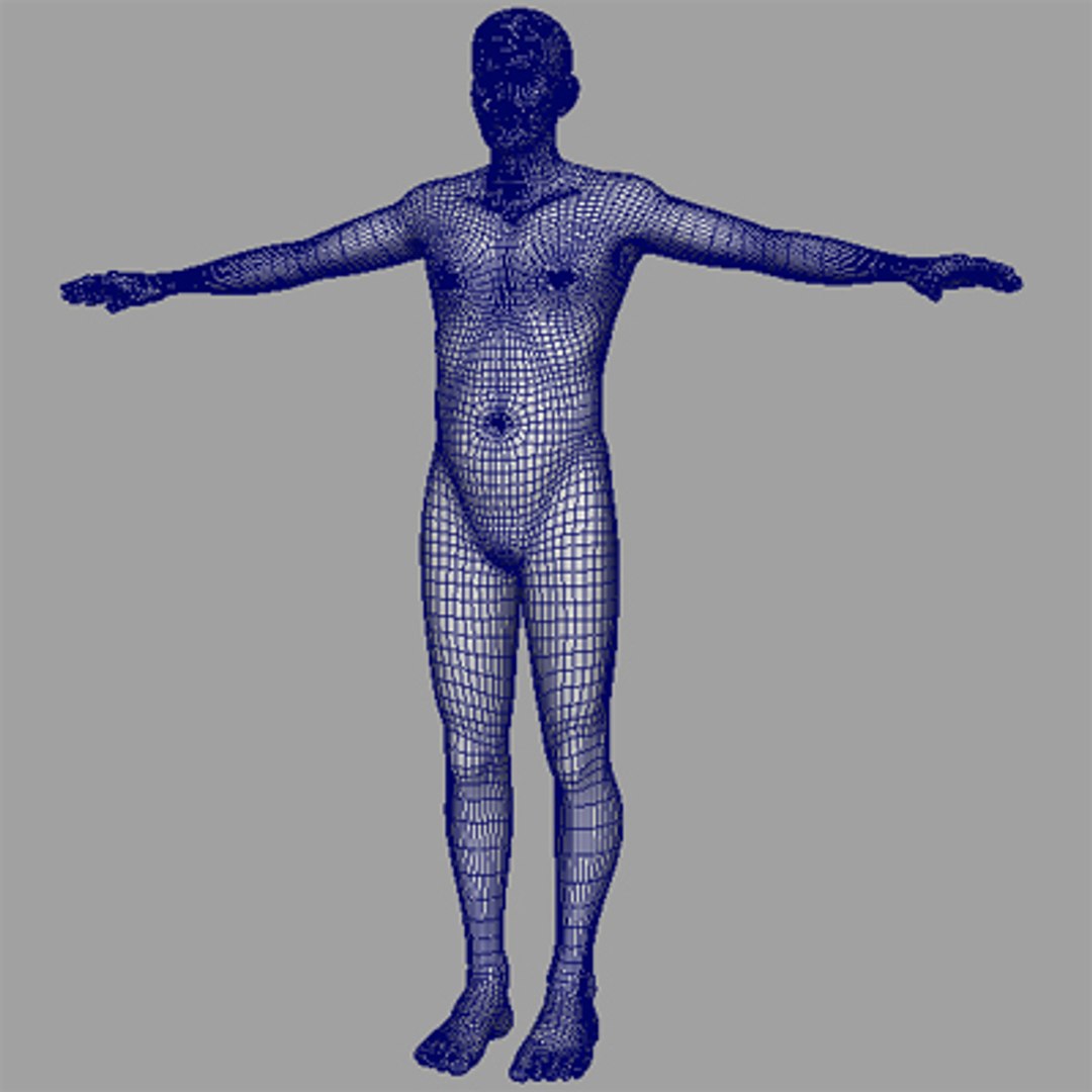 human male 3d model