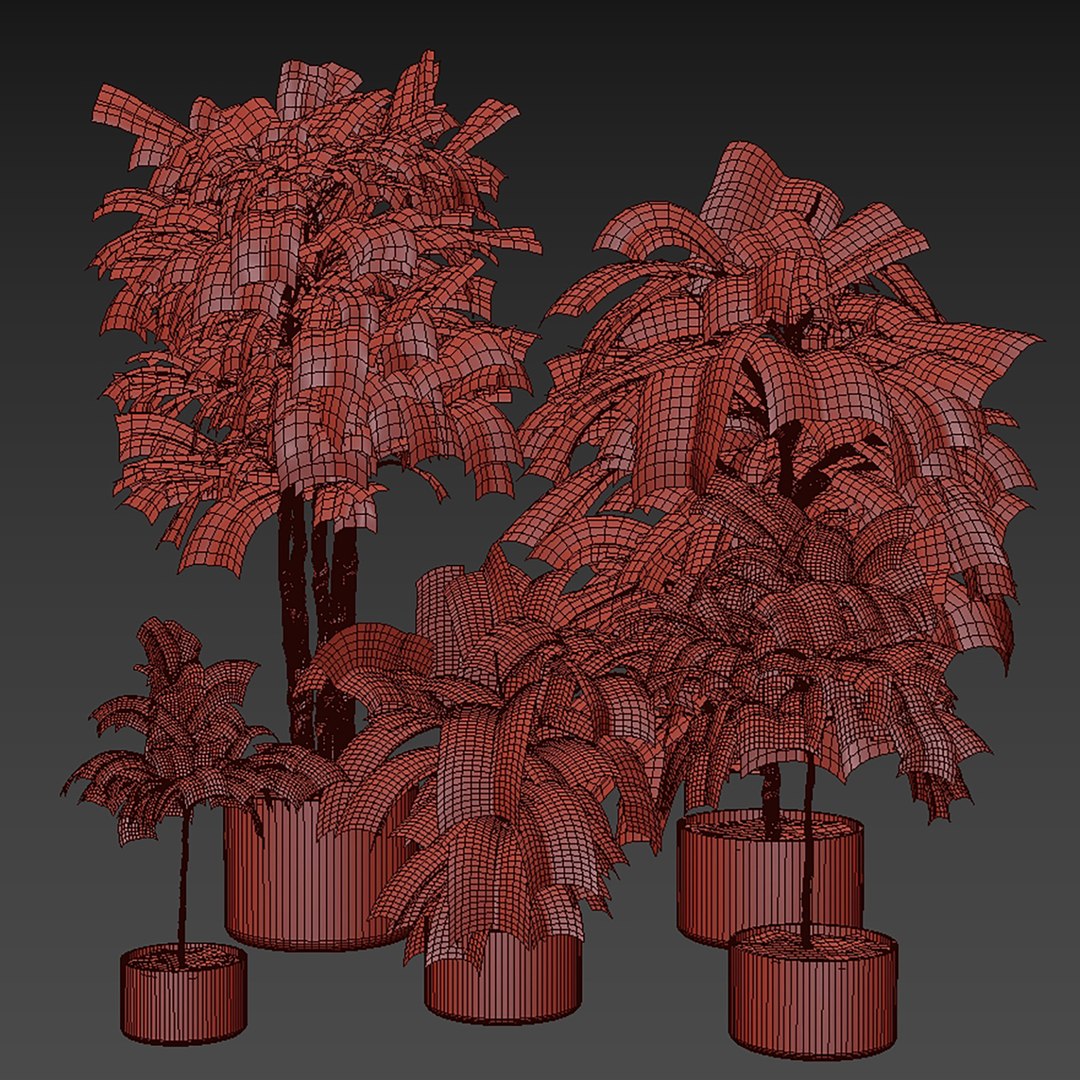 Collection plant vol 661 - fiddle - indoor - leaf - fig 3D model https://p.turbosquid.com/ts-thumb/vw/15KHmL/pW/7/jpg/1762631582/1920x1080/fit_q87/1b600381c85329f83facfea122be929f7b562708/7.jpg