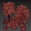 コレクション植物vol.661 - フィドル - 屋内 - 葉 - イチジク
