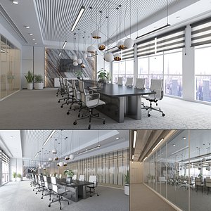 3D Modern Conference Board Room Interior model