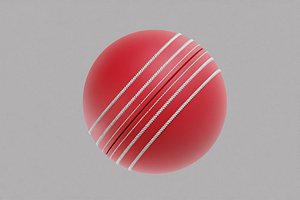 Cricket ball