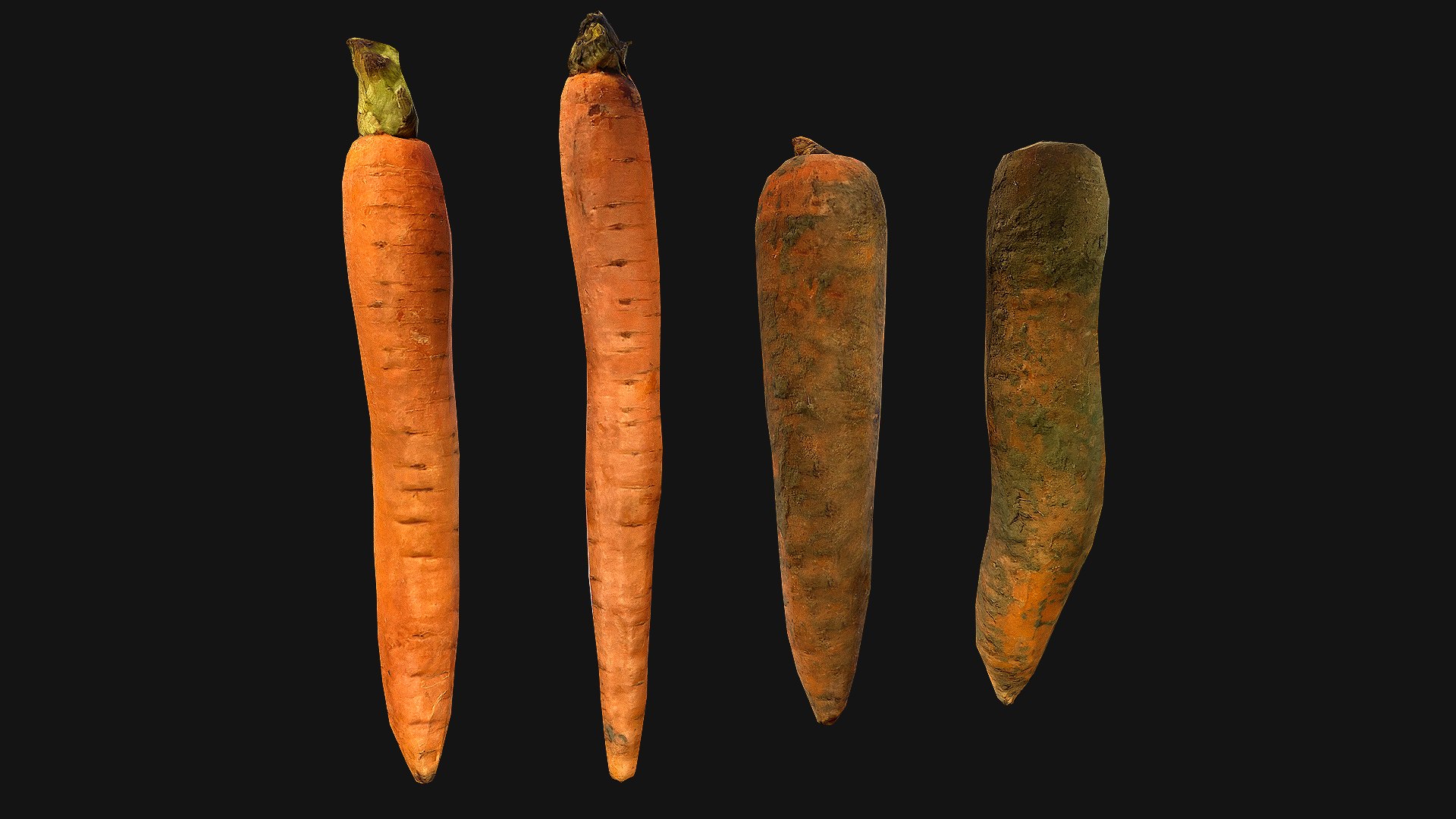 Carrots Vegetables 3D model https://p.turbosquid.com/ts-thumb/vw/SToZg9/AK/carrot_0022_carrot002/png/1655980888/1920x1080/fit_q87/61809ed9c764f02680db8338db56424d10bd606a/carrot_0022_carrot002.jpg