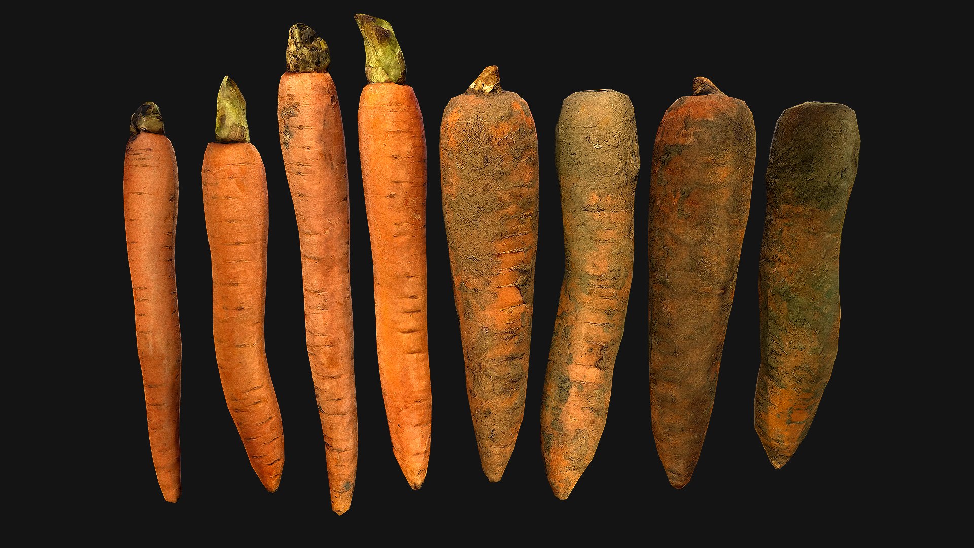Carrots Vegetables 3D model https://p.turbosquid.com/ts-thumb/vw/SToZg9/VK/carrot_0015_carrot008/png/1655980882/1920x1080/fit_q87/c4a7dab6aeaef3fcda7fbec0e60ebdd552ac3e03/carrot_0015_carrot008.jpg