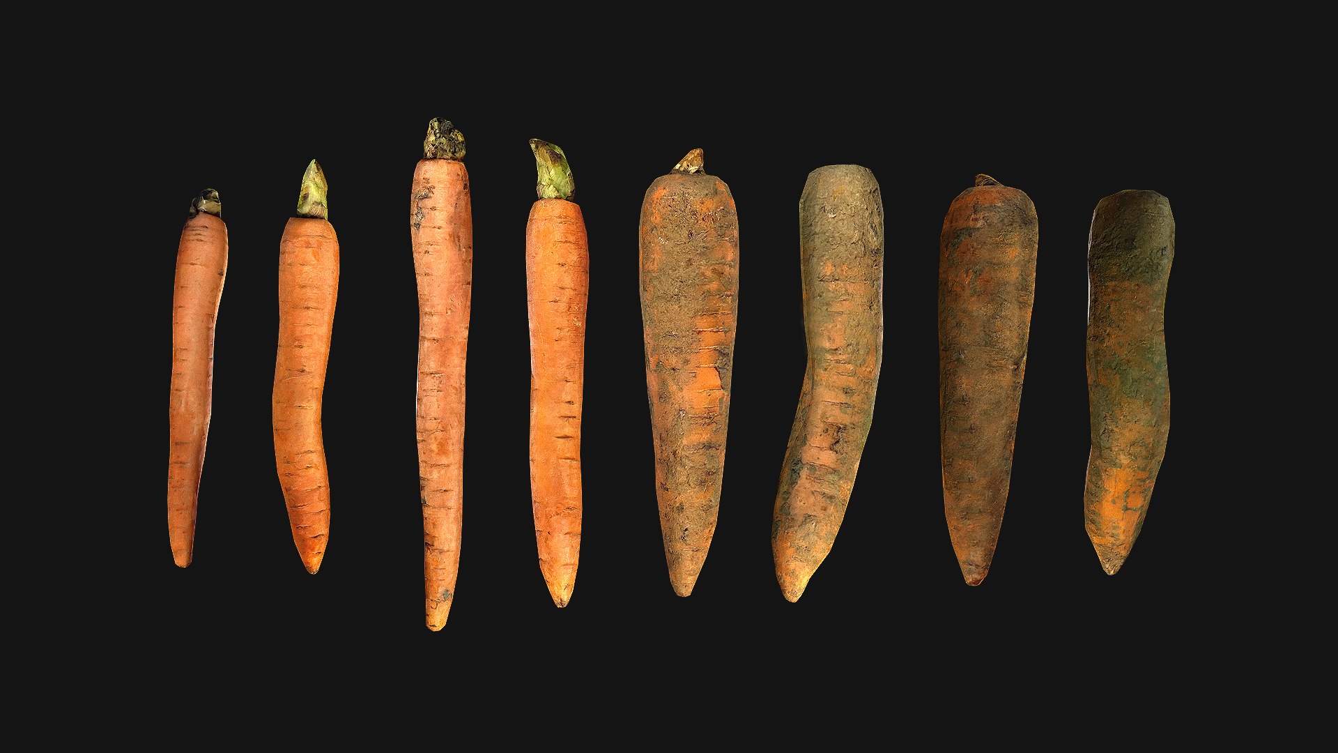 Carrots Vegetables 3D model https://p.turbosquid.com/ts-thumb/vw/SToZg9/aG/carrot_0020_carrot004/png/1655980886/1920x1080/fit_q87/e578835382eae207db2cca9c38246b4355cd6d29/carrot_0020_carrot004.jpg