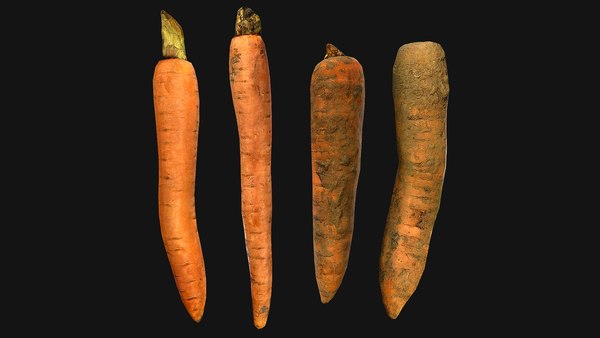 Carrots Vegetables 3D model