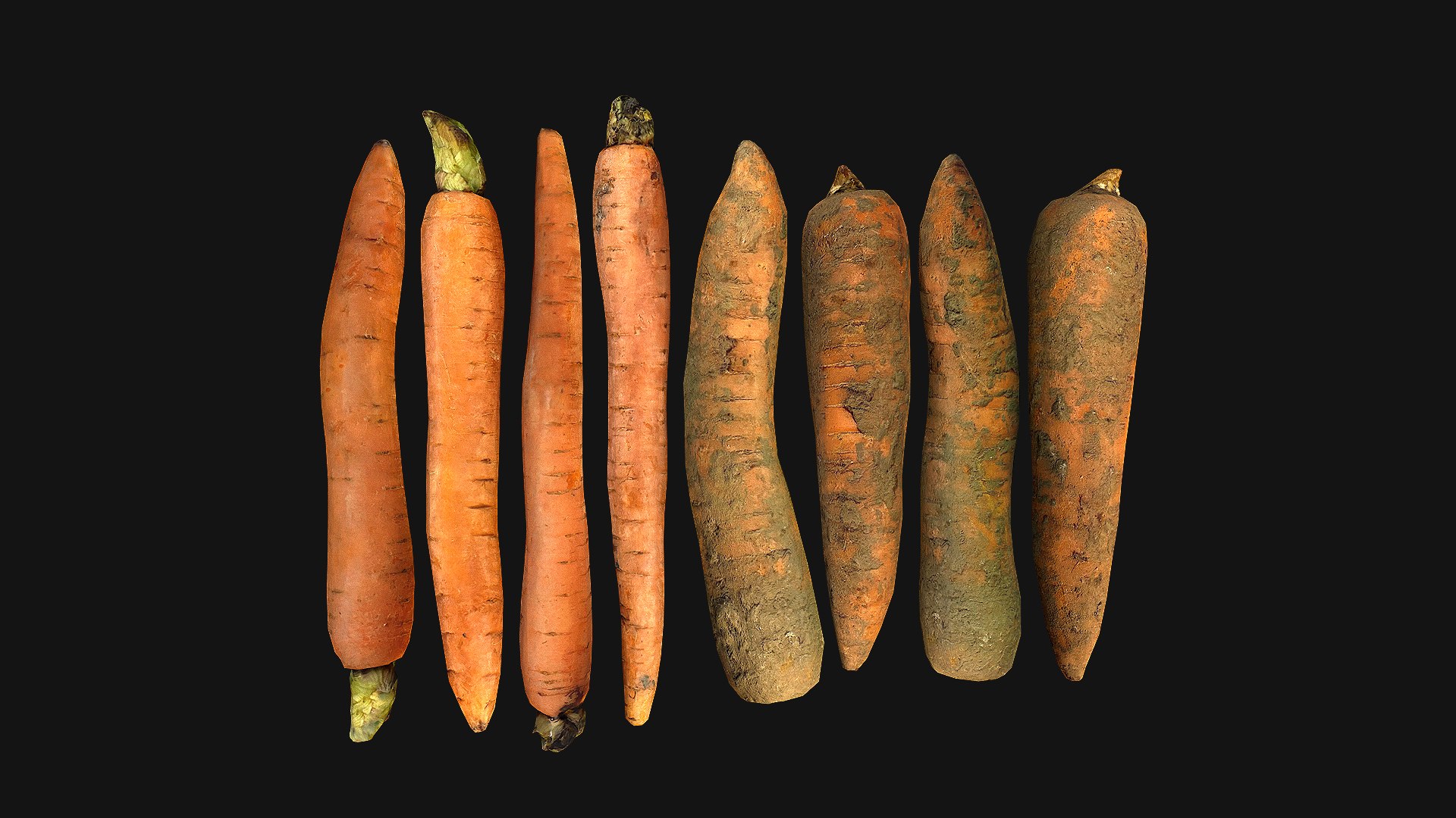 Carrots Vegetables 3D model https://p.turbosquid.com/ts-thumb/vw/SToZg9/iE/carrot_0024_carrot000/png/1655980891/1920x1080/fit_q87/8a0c58bd713f35b933cc80e95aab137e9c62a010/carrot_0024_carrot000.jpg