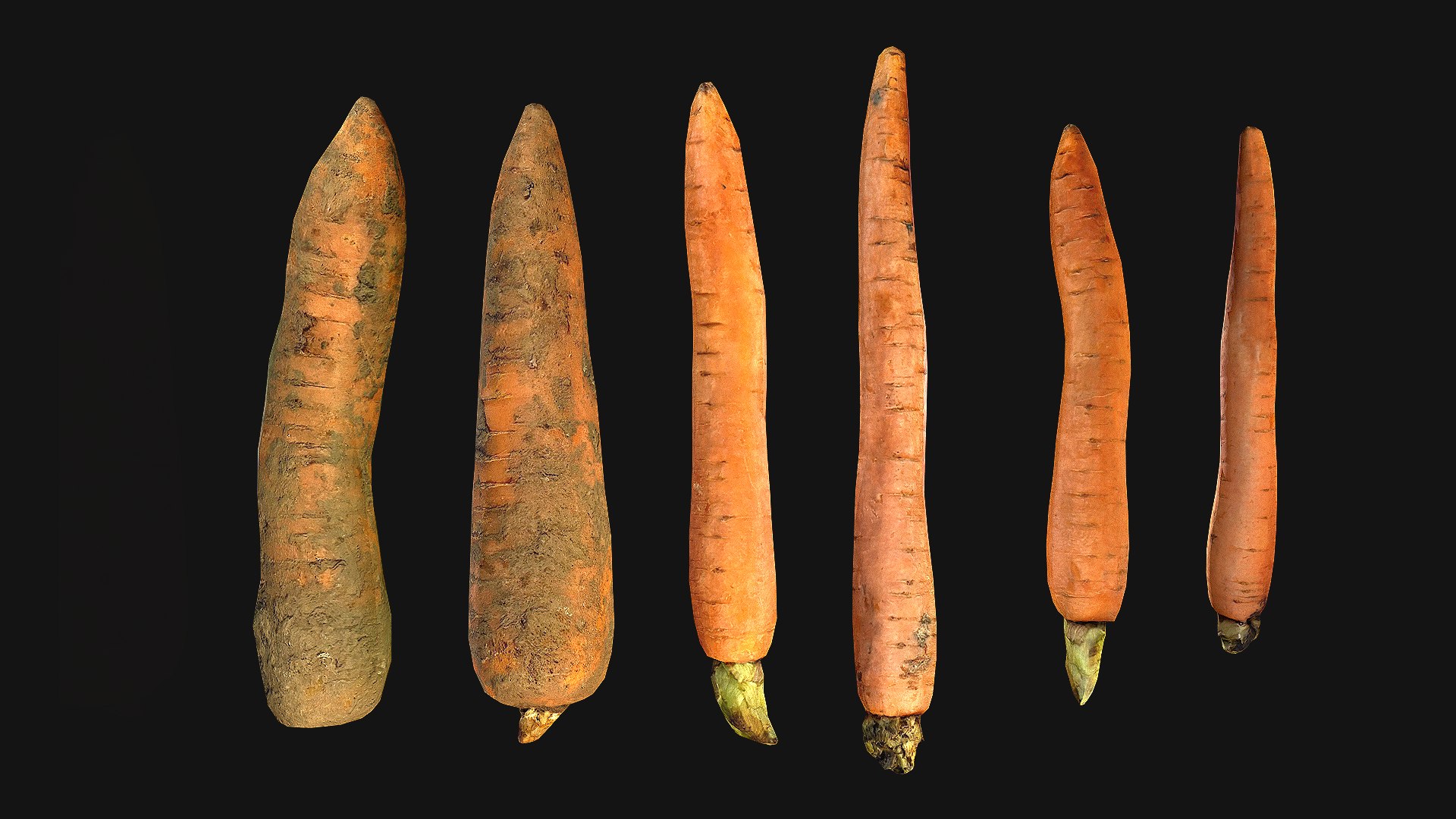 Carrots Vegetables 3D model https://p.turbosquid.com/ts-thumb/vw/SToZg9/n2/carrot_0017_carrot006/png/1655980882/1920x1080/fit_q87/671ba2ef97db2085c197e87113c4b7793eeb7047/carrot_0017_carrot006.jpg