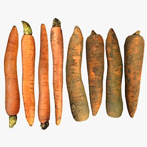 Carrots Vegetables 3D model