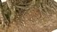 Real Forest Ultra HD 16K