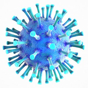 modeled coronavirus covid 19 3D