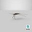 Water Strider 3D model
