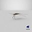 Water Strider 3D model