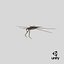 Water Strider 3D model
