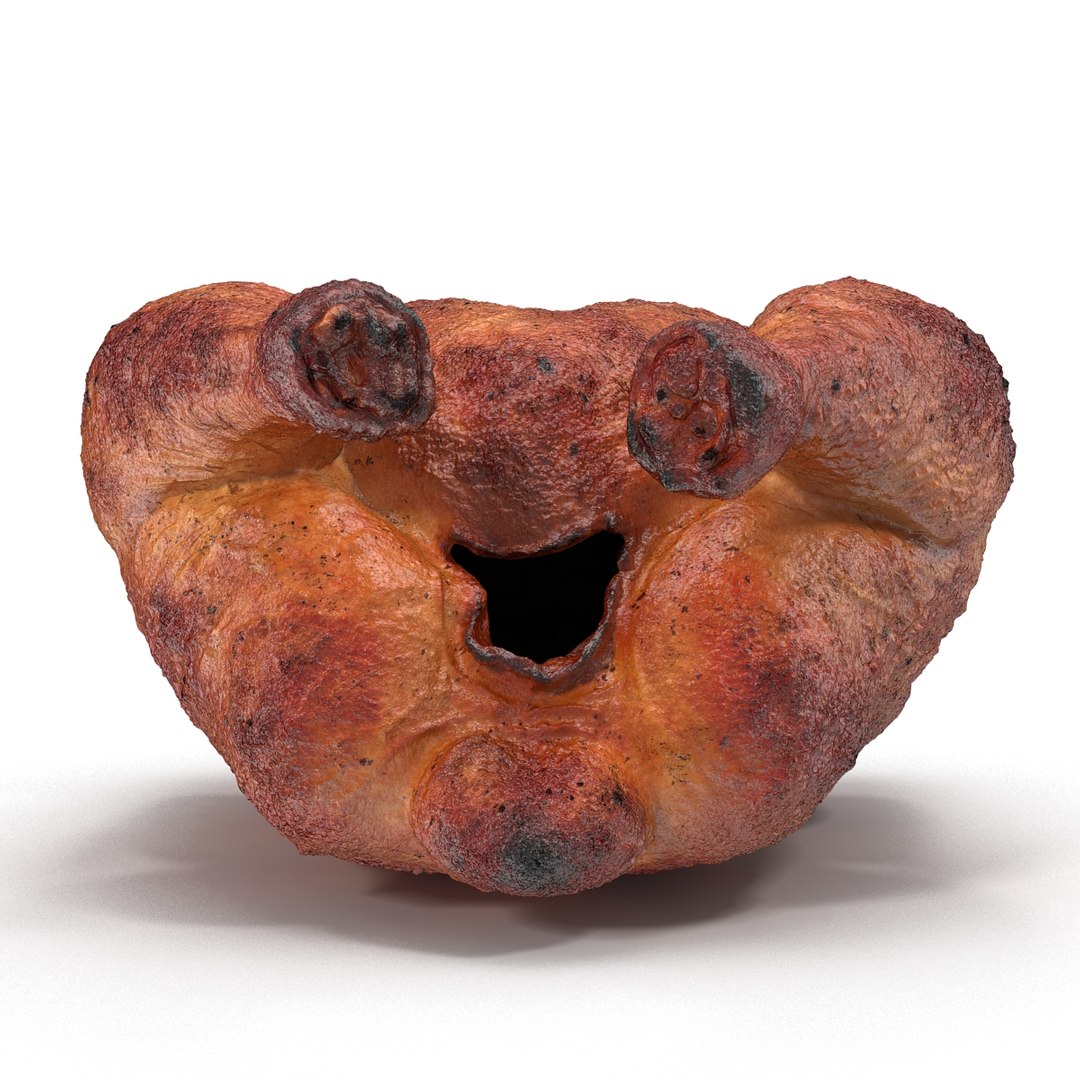 roasted turkey modeled 3d model https://p.turbosquid.com/ts-thumb/vw/iaSSOE/5vZEBhH3/roastedturkey3dmodel04/jpg/1460720455/1920x1080/fit_q87/f3cc9ccf7b4e9f32d366b875082a4489d9a18e55/roastedturkey3dmodel04.jpg