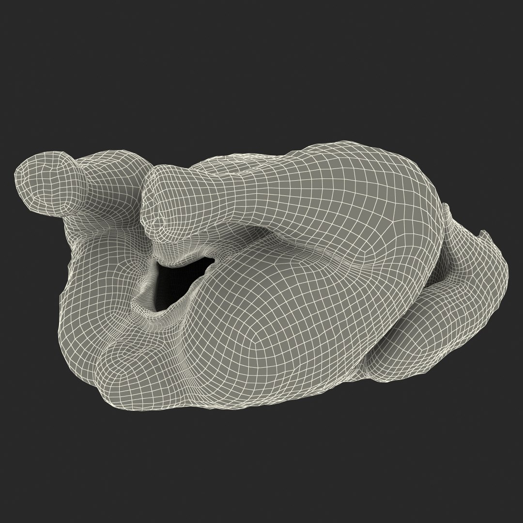 Roasted Turkey Modeled 3d Model