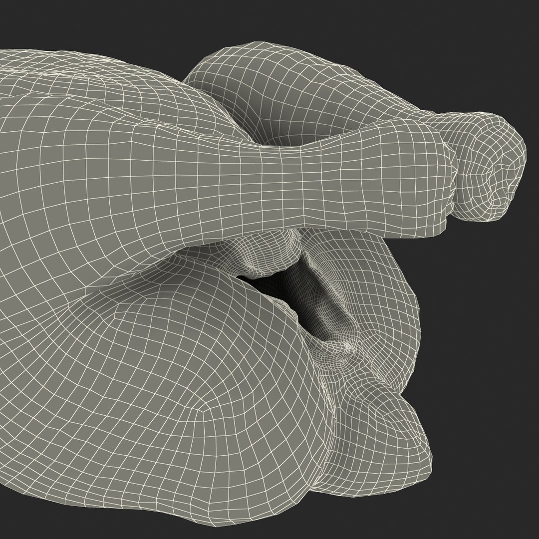 roasted turkey modeled 3d model https://p.turbosquid.com/ts-thumb/vw/iaSSOE/dr5PT2qH/roastedturkey3dmodel29/jpg/1460720456/1920x1080/fit_q87/28305f3b4bbf46ce4b82e4ac1ace52df64a067f5/roastedturkey3dmodel29.jpg