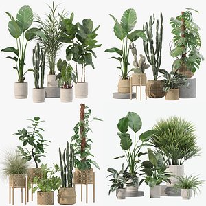 3D model 20 Photorealistic Flowers for Interiors - set 201 203 207 211