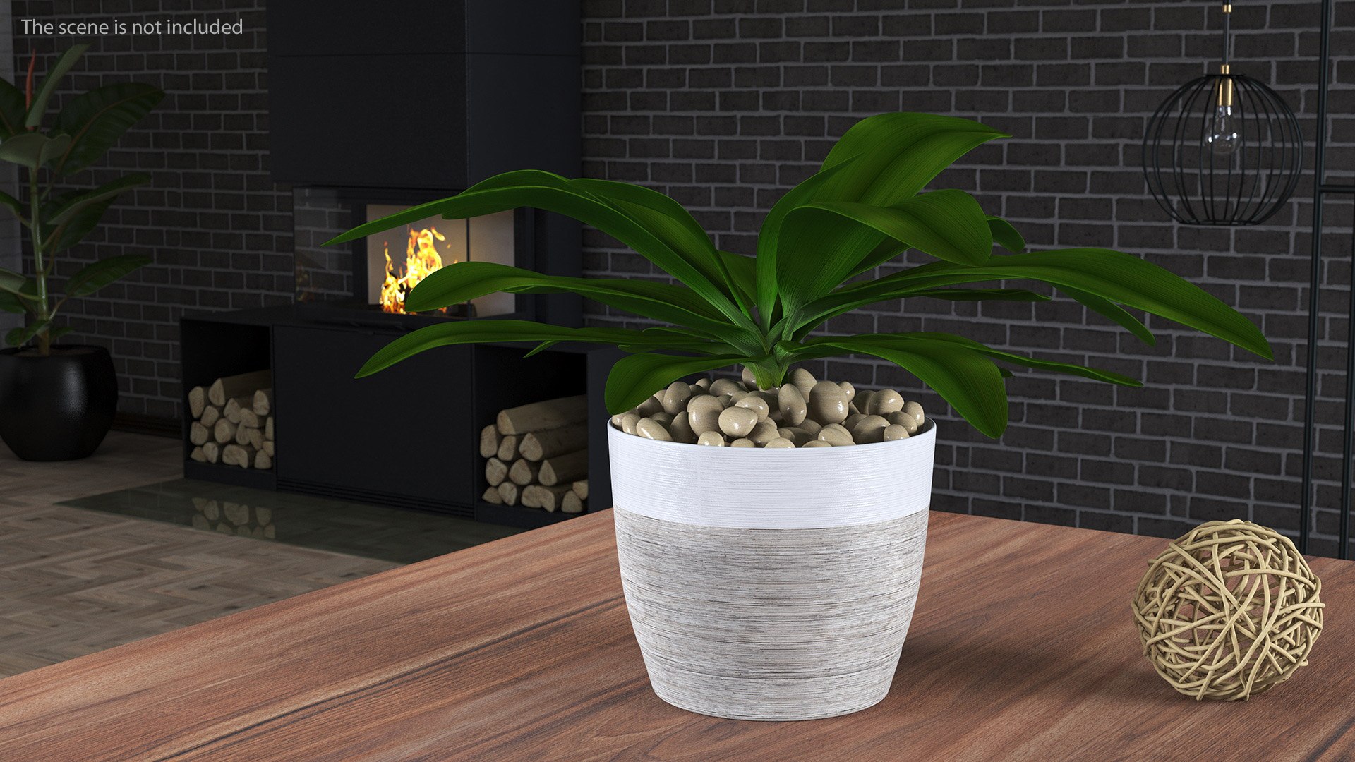 3D model Indoor Plant Glauca Cordyline Potted https://p.turbosquid.com/ts-thumb/vw/yiCHKj/4H/indoorplantglaucacordylinepotted3dsmodel003/jpg/1690942167/1920x1080/fit_q87/b76ec48f47ab8f7799d35608eecfed025f2fdf06/indoorplantglaucacordylinepotted3dsmodel003.jpg