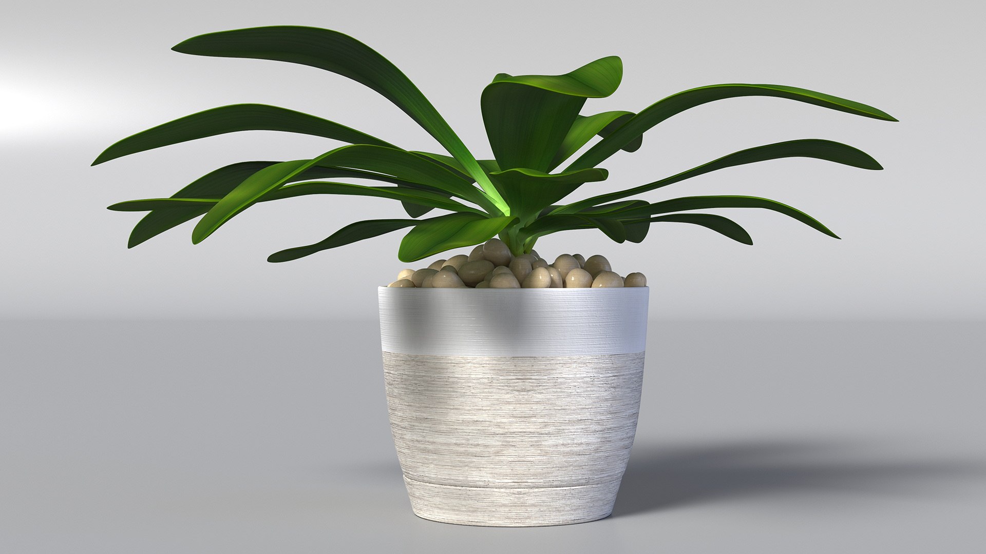 3D model Indoor Plant Glauca Cordyline Potted https://p.turbosquid.com/ts-thumb/vw/yiCHKj/8v/indoorplantglaucacordylinepotted3dsmodel008/jpg/1690942185/1920x1080/fit_q87/476fe3282de11668a6aa492b836c65ecf4a33fc9/indoorplantglaucacordylinepotted3dsmodel008.jpg