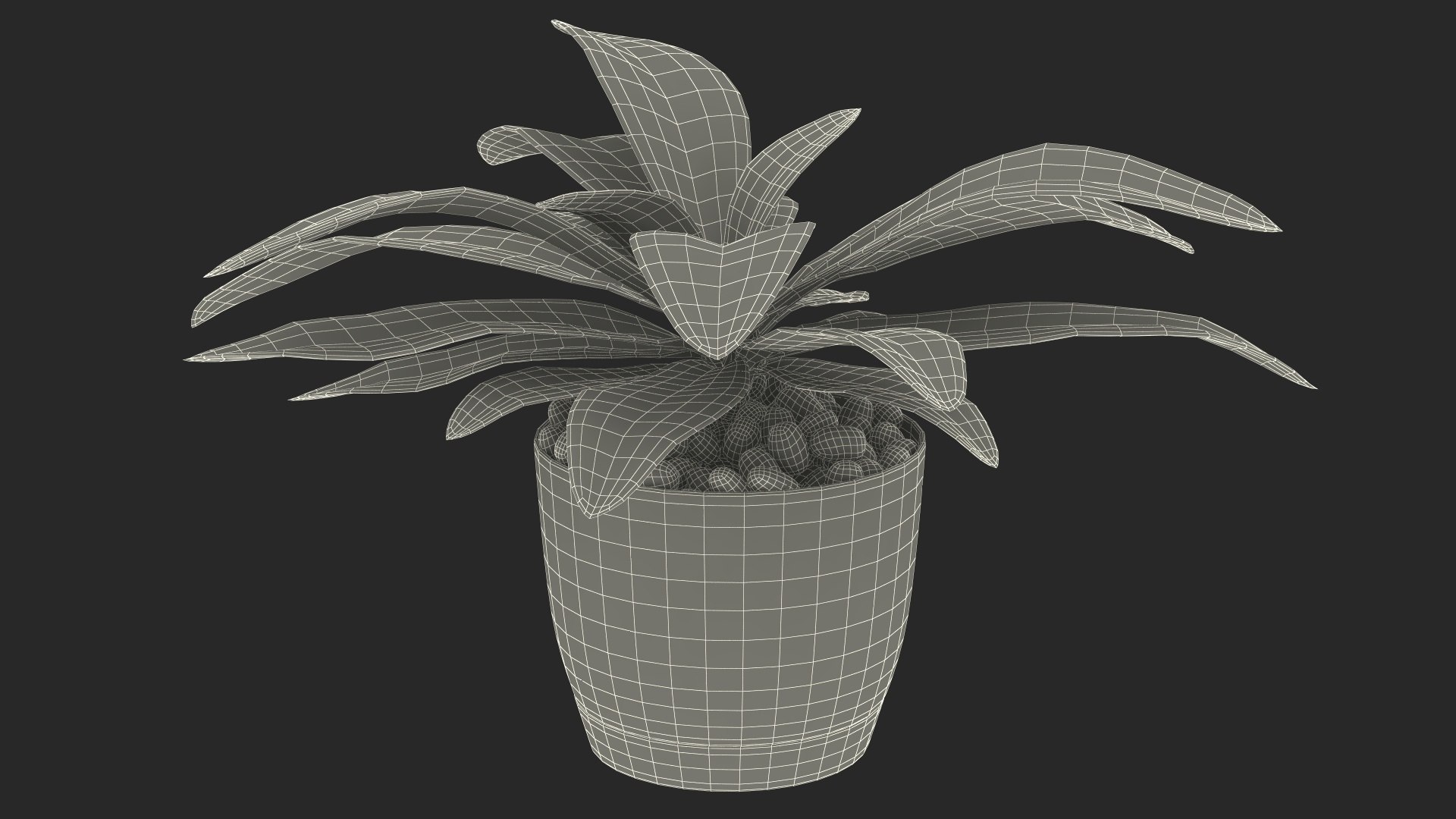 3D model Indoor Plant Glauca Cordyline Potted https://p.turbosquid.com/ts-thumb/vw/yiCHKj/My/indoorplantglaucacordylinepotted3dsmodel025/jpg/1690942249/1920x1080/fit_q87/f563fd8cdf5d3ac0a3a31c7298443d8128fc7eac/indoorplantglaucacordylinepotted3dsmodel025.jpg