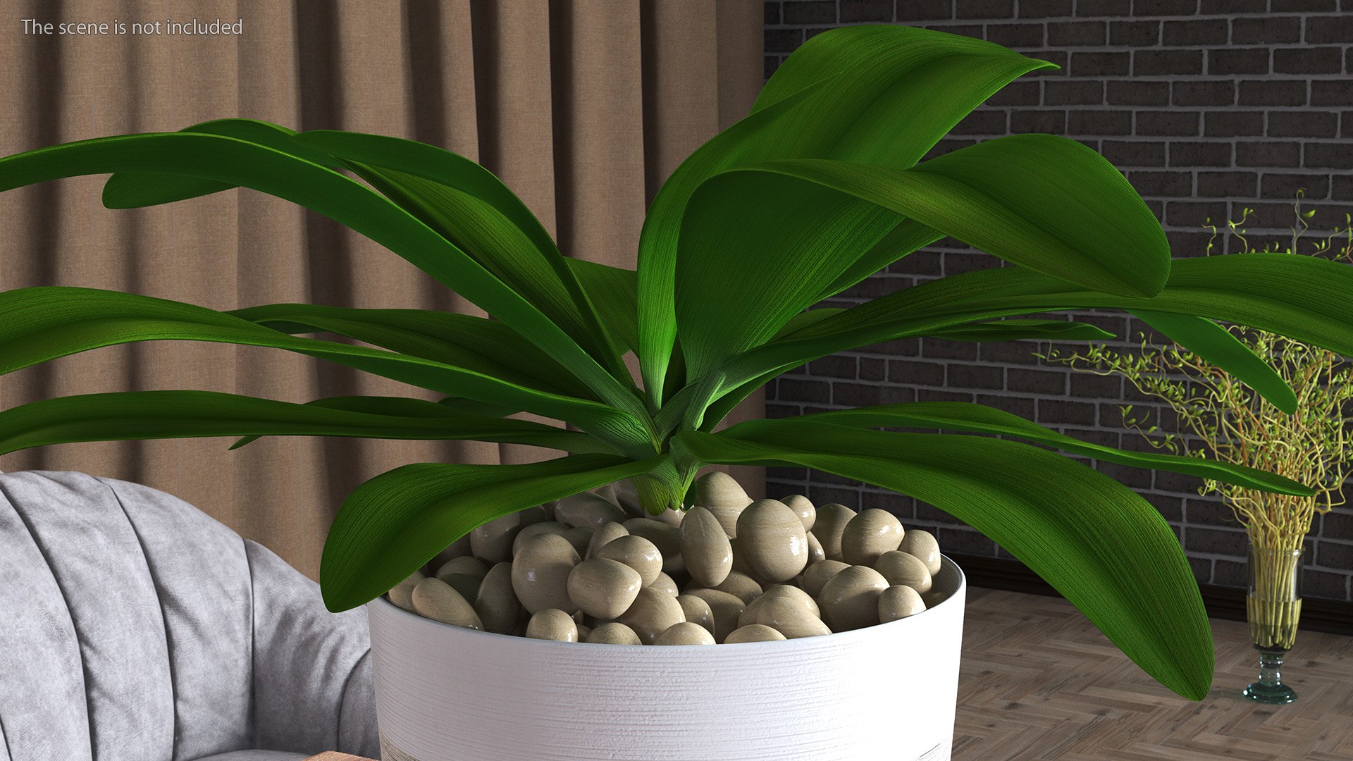 3D model Indoor Plant Glauca Cordyline Potted https://p.turbosquid.com/ts-thumb/vw/yiCHKj/Ut/indoorplantglaucacordylinepotted3dsmodel005/jpg/1690942175/1920x1080/fit_q87/37c9151a25f5d1b9628c79ae956e48c3223c9ae2/indoorplantglaucacordylinepotted3dsmodel005.jpg