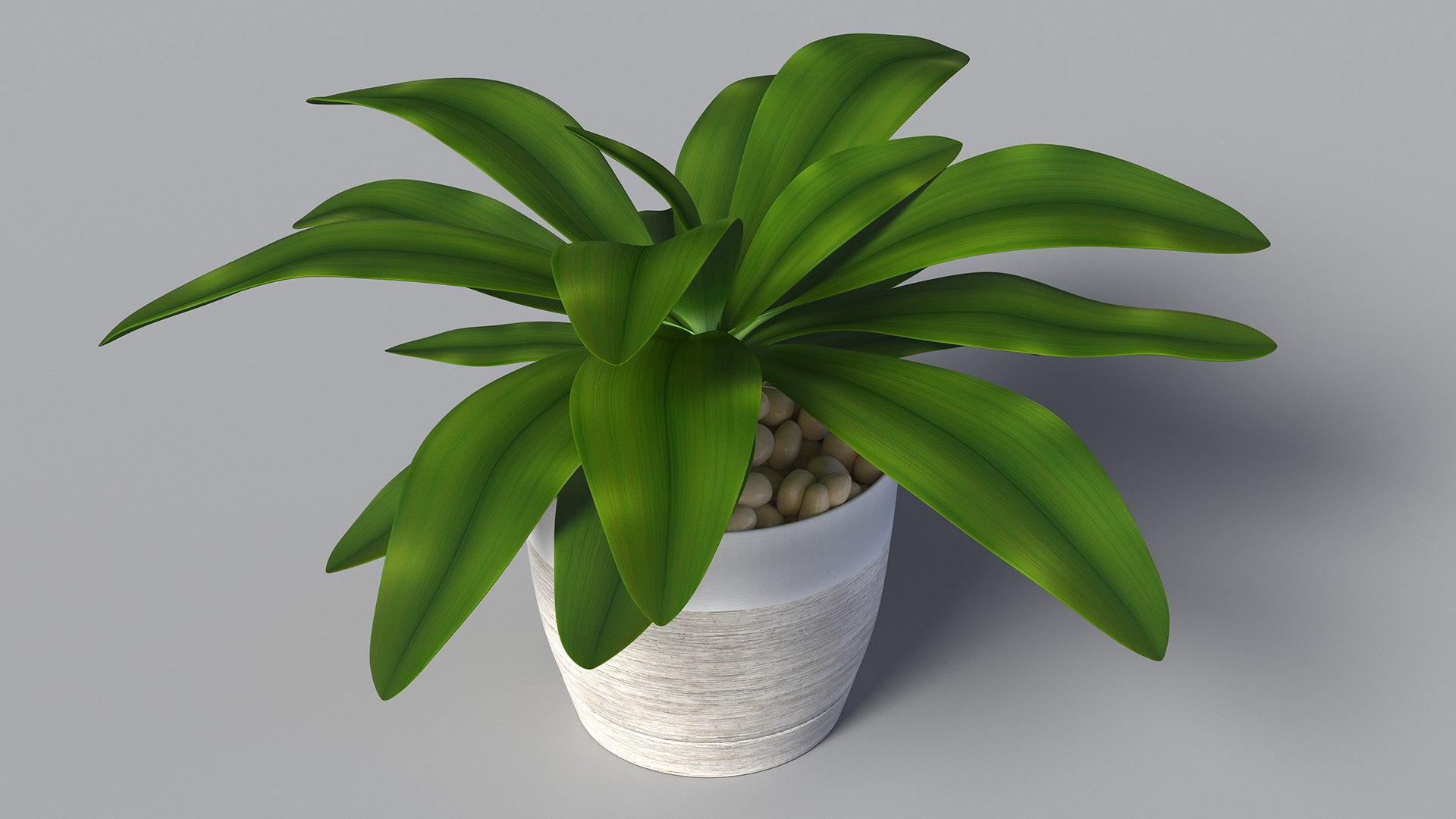3D model Indoor Plant Glauca Cordyline Potted https://p.turbosquid.com/ts-thumb/vw/yiCHKj/a0/indoorplantglaucacordylinepotted3dsmodel007/jpg/1690942181/1920x1080/fit_q87/71fd5e1c1f403957be7e3adebb758754cdee9056/indoorplantglaucacordylinepotted3dsmodel007.jpg