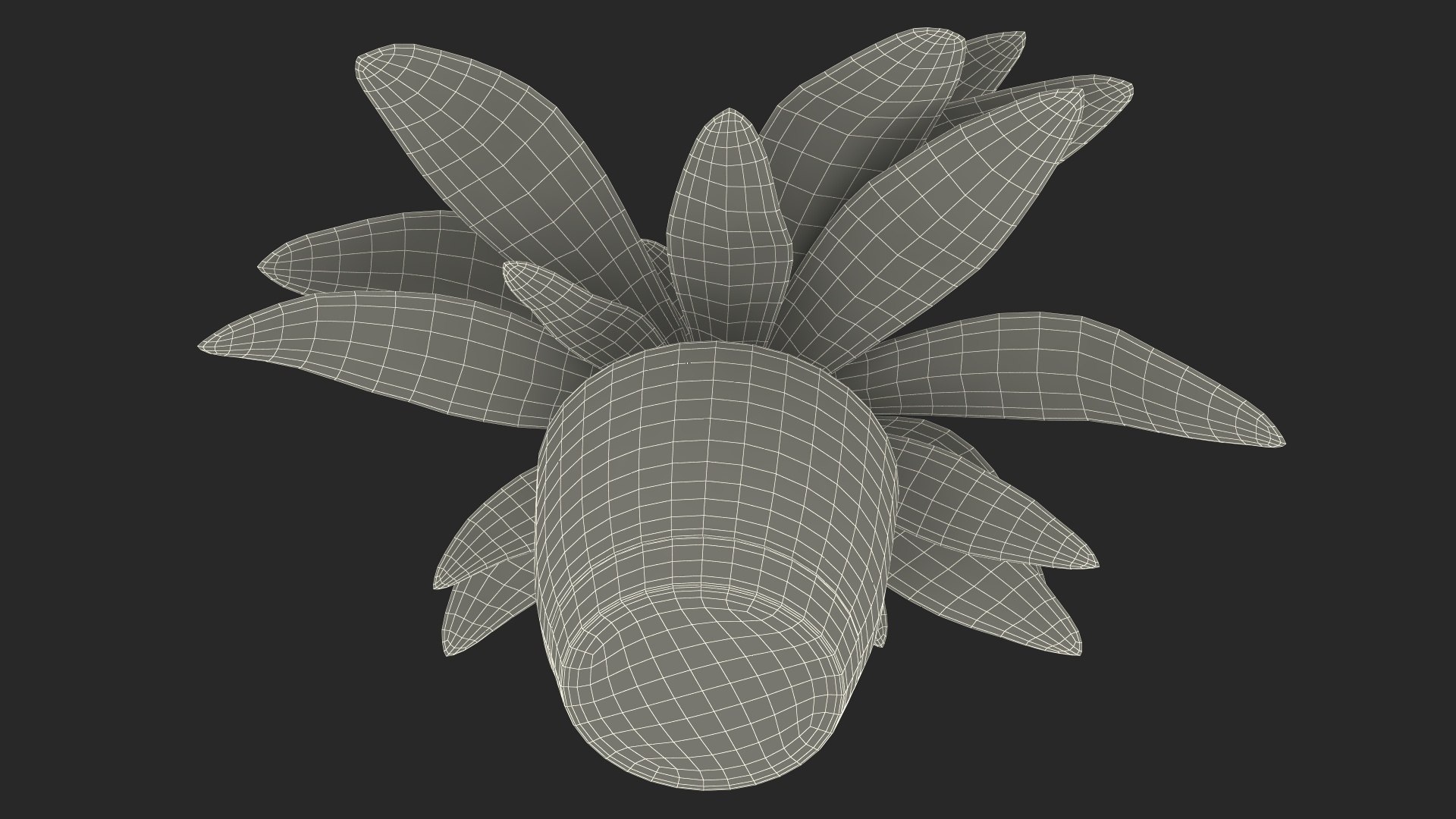 3D model Indoor Plant Glauca Cordyline Potted https://p.turbosquid.com/ts-thumb/vw/yiCHKj/aZ/indoorplantglaucacordylinepotted3dsmodel027/jpg/1690942257/1920x1080/fit_q87/98a4d5fff1ff4a2cf0ca7415943ea67967433746/indoorplantglaucacordylinepotted3dsmodel027.jpg