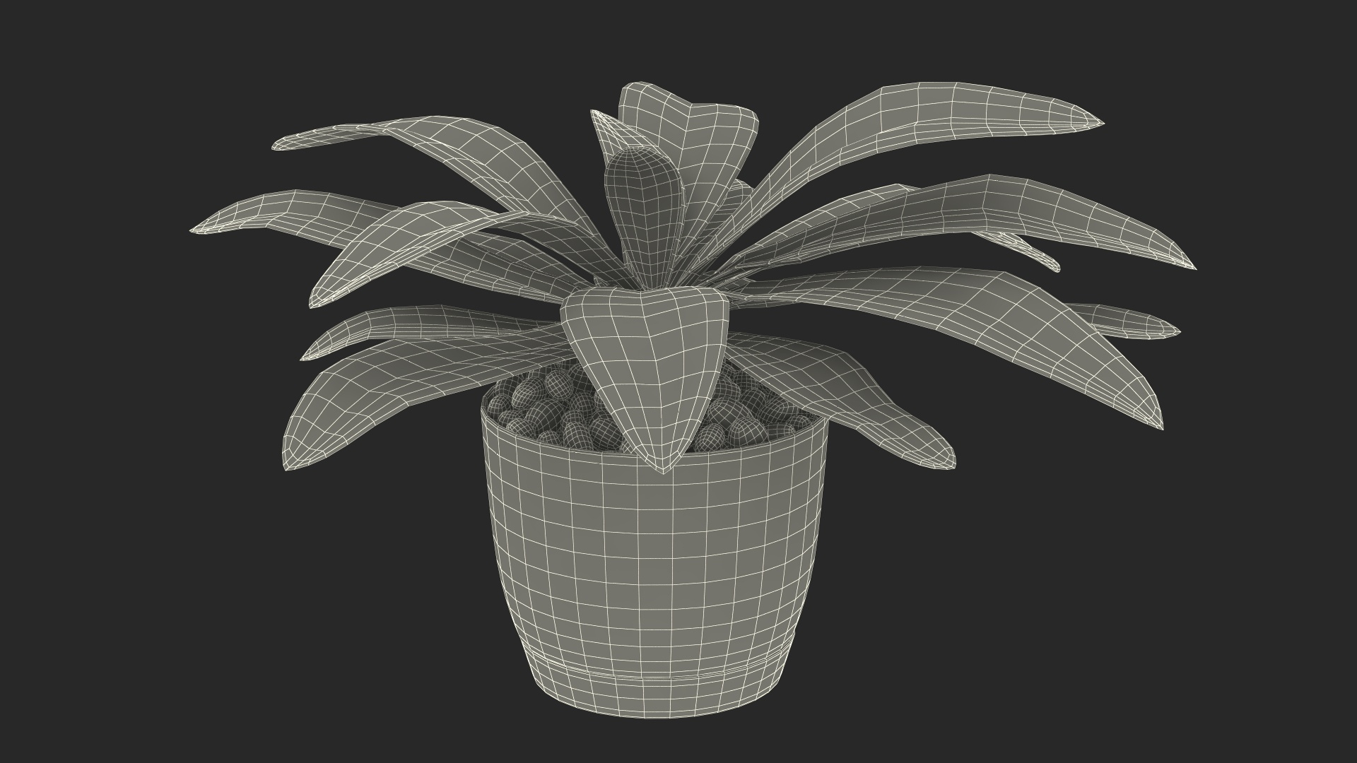 3D model Indoor Plant Glauca Cordyline Potted https://p.turbosquid.com/ts-thumb/vw/yiCHKj/cq/indoor_plant_glauca_cordyline_potted_361/jpg/1690941955/1920x1080/turn_fit_q99/3833ed0f29629b3079ccd3d5ec7097aa08c59056/indoor_plant_glauca_cordyline_potted_361-1.jpg