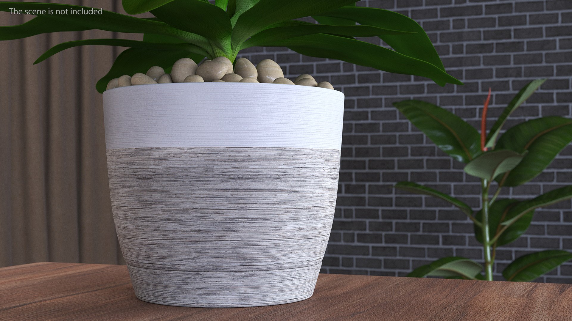 3D model Indoor Plant Glauca Cordyline Potted https://p.turbosquid.com/ts-thumb/vw/yiCHKj/le/indoorplantglaucacordylinepotted3dsmodel006/jpg/1690942179/1920x1080/fit_q87/ee6ef83708d2543239b96463978586387c85be44/indoorplantglaucacordylinepotted3dsmodel006.jpg