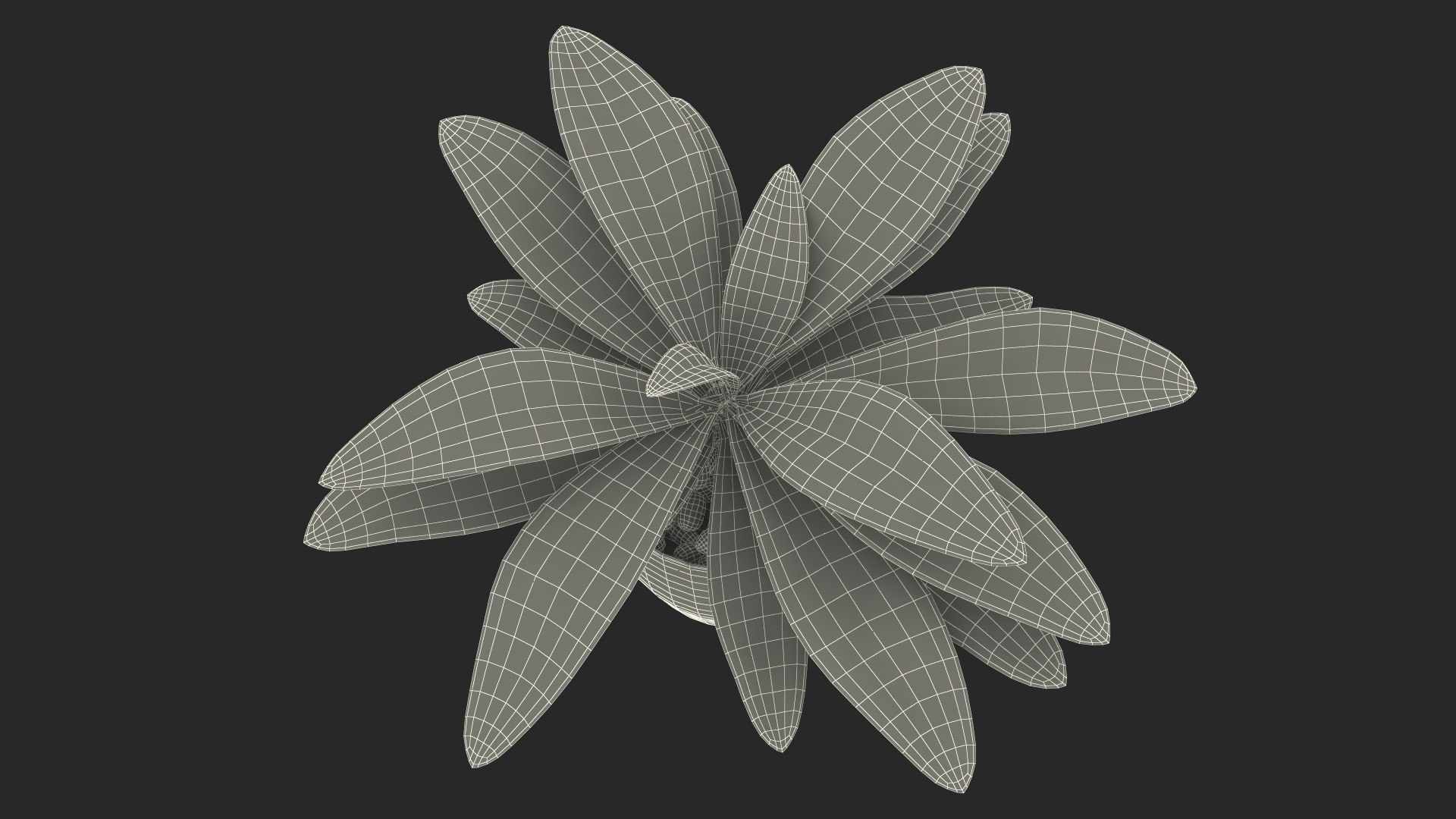 3D model Indoor Plant Glauca Cordyline Potted https://p.turbosquid.com/ts-thumb/vw/yiCHKj/ul/indoorplantglaucacordylinepotted3dsmodel026/jpg/1690942253/1920x1080/fit_q87/99bc47a99d3276274eae6e8fd6d65d12a2974a04/indoorplantglaucacordylinepotted3dsmodel026.jpg