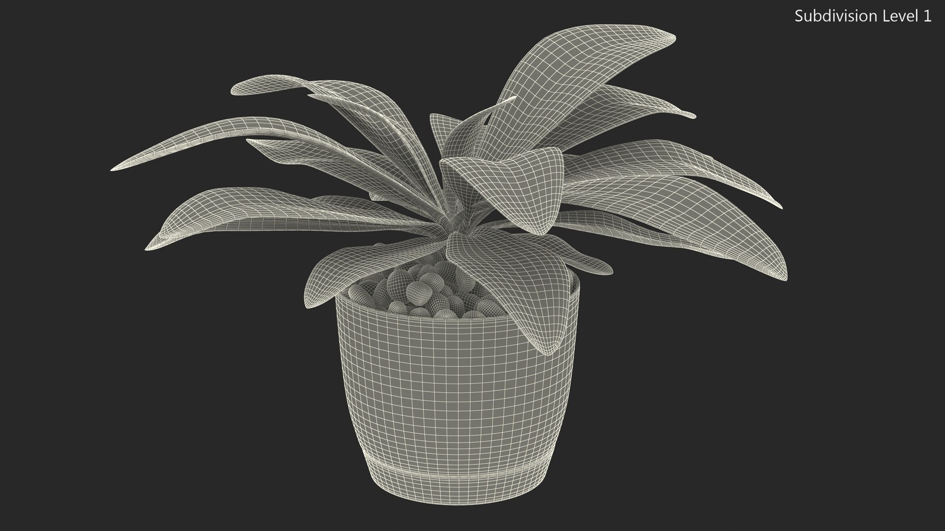 3D model Indoor Plant Glauca Cordyline Potted https://p.turbosquid.com/ts-thumb/vw/yiCHKj/w2/indoorplantglaucacordylinepotted3dsmodel017/jpg/1690942218/1920x1080/fit_q87/68c94a307ca37453c7334173fed74fa6b0ffc71f/indoorplantglaucacordylinepotted3dsmodel017.jpg