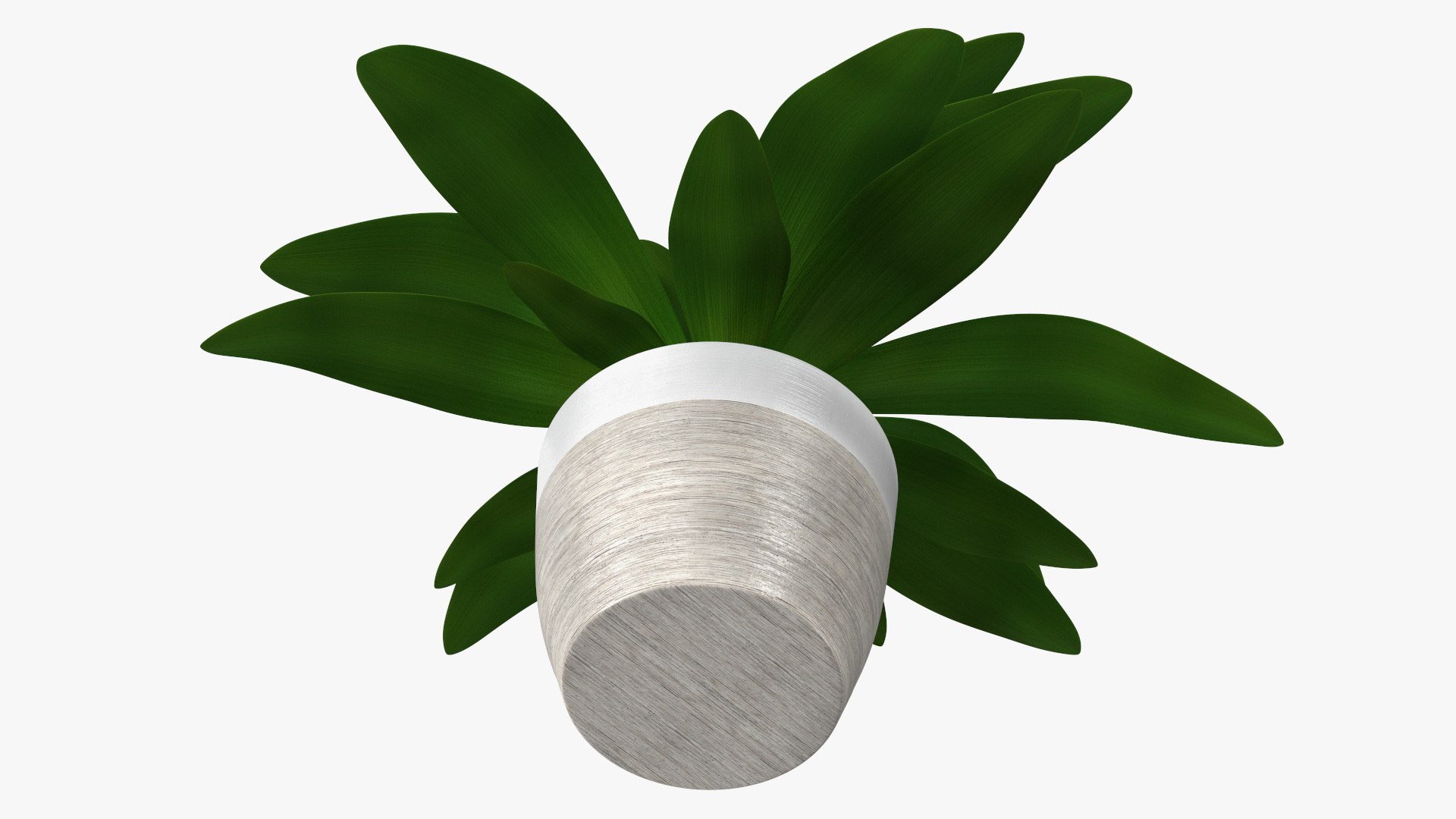 3D model Indoor Plant Glauca Cordyline Potted https://p.turbosquid.com/ts-thumb/vw/yiCHKj/wQ/indoorplantglaucacordylinepotted3dsmodel013/jpg/1690942202/1920x1080/fit_q87/bf7af2f7b53d1b1038cebce015c432903d8ab473/indoorplantglaucacordylinepotted3dsmodel013.jpg