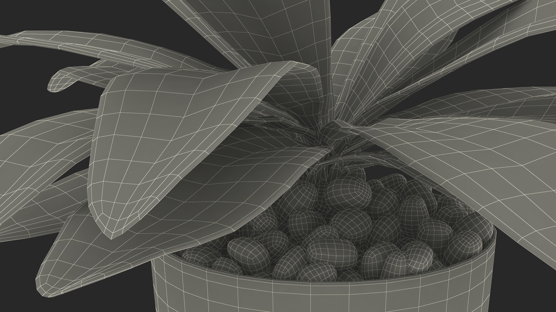 3D model Indoor Plant Glauca Cordyline Potted https://p.turbosquid.com/ts-thumb/vw/yiCHKj/wu/indoorplantglaucacordylinepotted3dsmodel028/jpg/1690942261/1920x1080/fit_q87/f4c7079e803e7b3d4a57eb32126da7c75aaebc00/indoorplantglaucacordylinepotted3dsmodel028.jpg