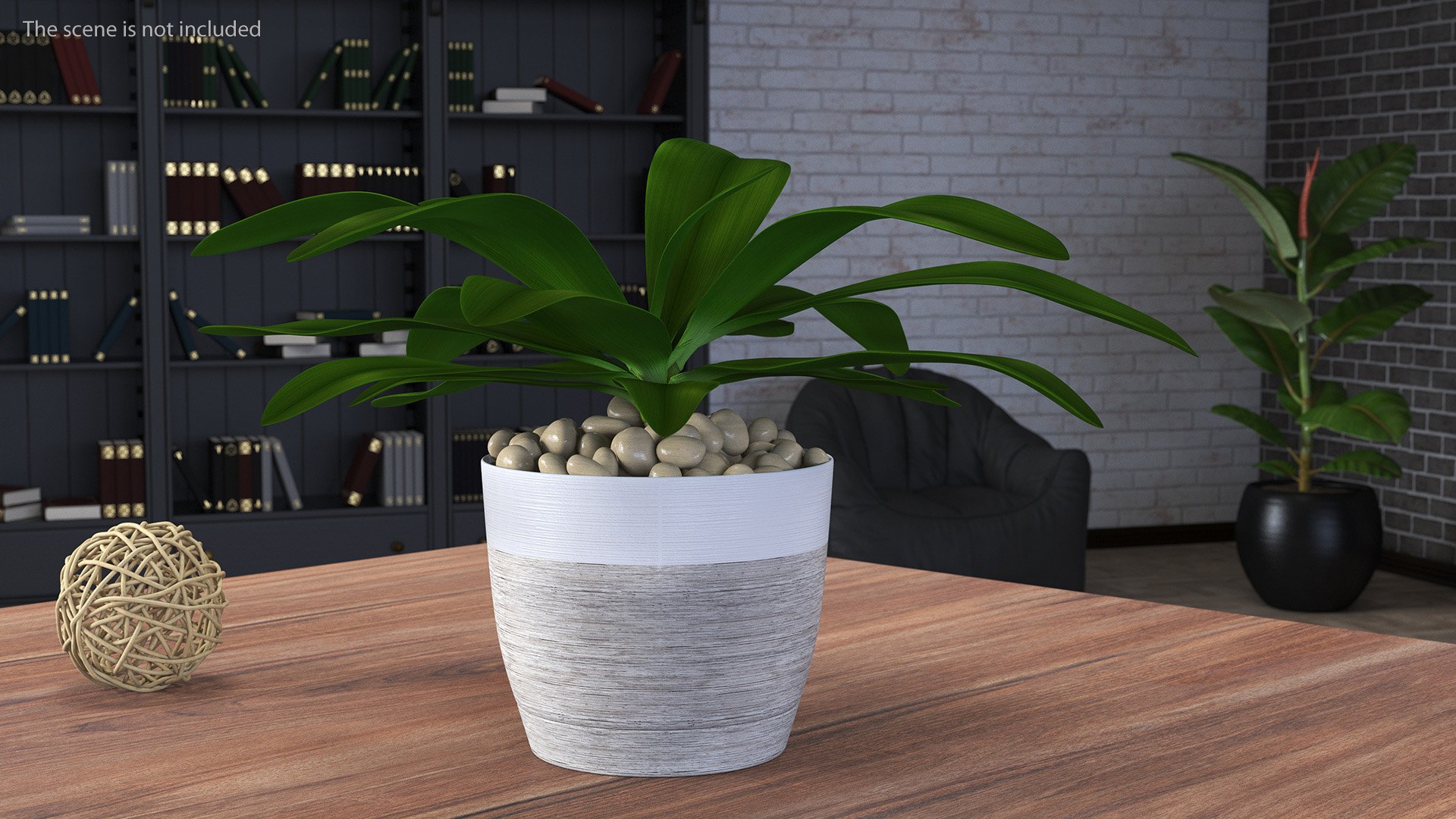 3D model Indoor Plant Glauca Cordyline Potted https://p.turbosquid.com/ts-thumb/vw/yiCHKj/xK/indoorplantglaucacordylinepotted3dsmodel002/jpg/1690942163/1920x1080/fit_q87/b0e4c9d47c1f129a6e1a16b999de6091131cad6e/indoorplantglaucacordylinepotted3dsmodel002.jpg