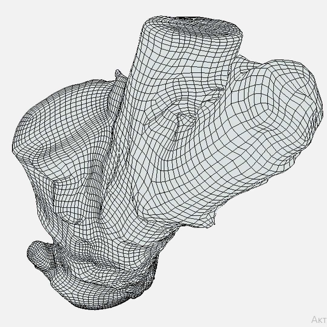 Log Model Turbosquid