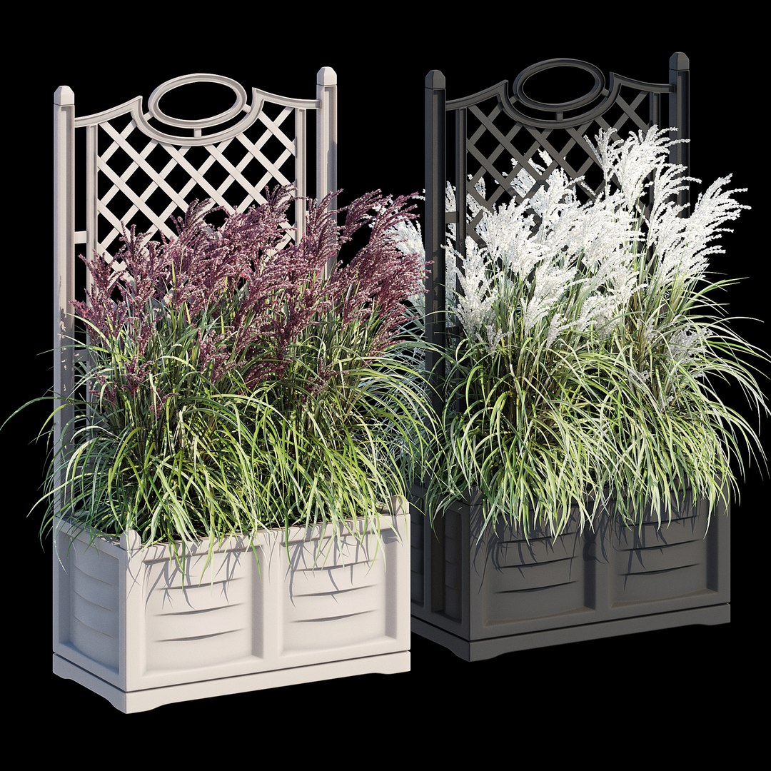 3D Bama with trellis model - TurboSquid 2034823