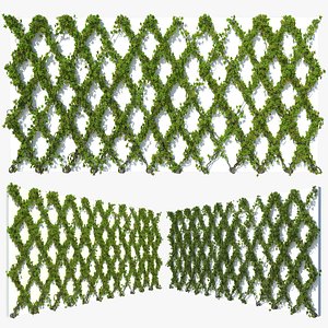 Ivy Wall 13 3D model