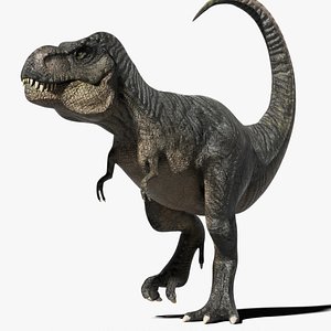 Jurassic Park Trex 3D model