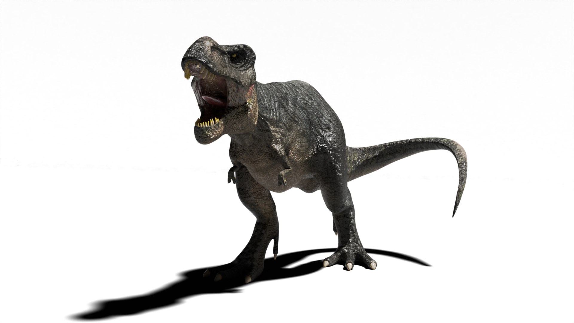 Jurassic Park Trex 3d Model Turbosquid 2202859 6622