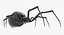 black widow spider rigged 3D
