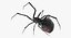 black widow spider rigged 3D