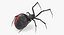 black widow spider rigged 3D