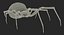 black widow spider rigged 3D