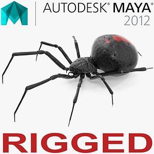 black widow spider rigged 3D