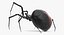 black widow spider rigged 3D