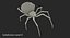 black widow spider rigged 3D