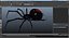 black widow spider rigged 3D