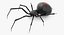 black widow spider rigged 3D